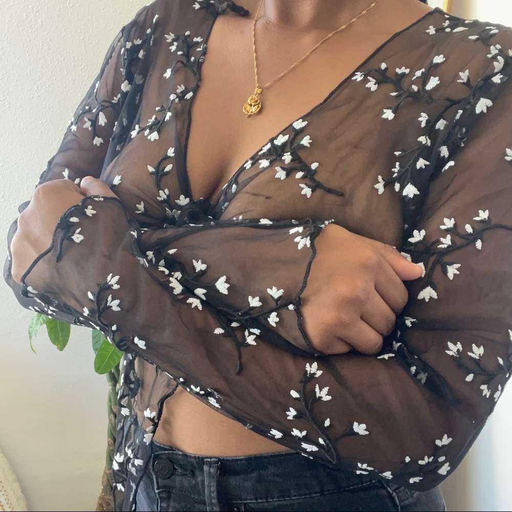 URBAN OUTFITTERS SHEER LONG-SLEEVE CROP TOP!